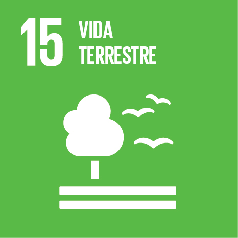 ODS 15 — Vida Terrestre