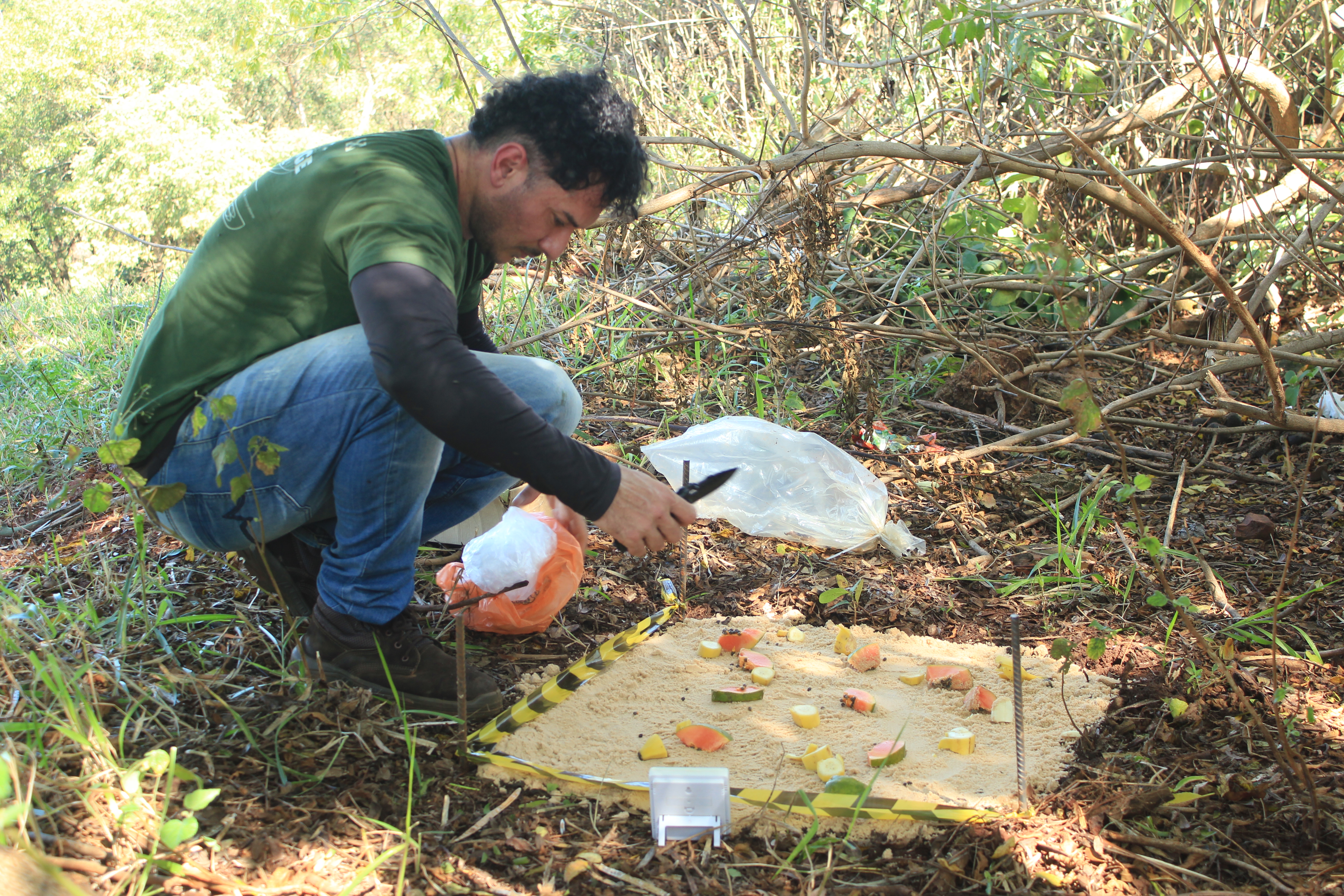 Técnico da BioEmerge montando estação de captura de carrapatos em campo